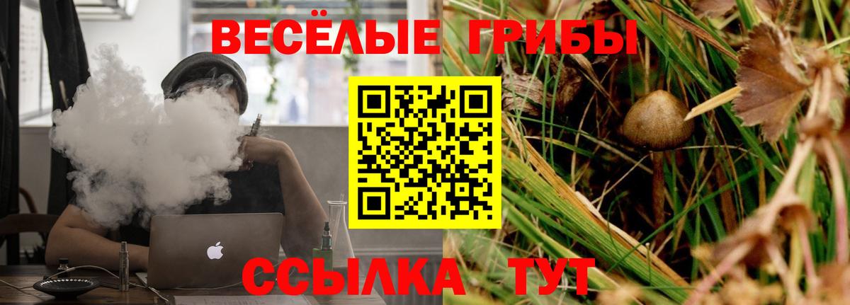 Псилоцибиновые грибы мицелий  Вход с VPN  Михайловск  Галлюциногенные грибы Cubensis 